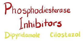 Phosphodiesterase PDE Inhibitors [upl. by Nylarad]