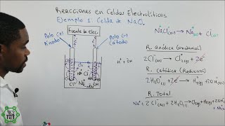 Celda Electrolítica de NaCl Cloruro de Sodio  Reacciones Anódicas y Catódicas [upl. by Notanhoj]