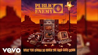 Public Enemy  RIP Blackat Audio [upl. by Nicks]