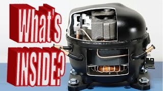 Whats inside a Refrigerator Compressor [upl. by Ettenad]