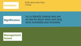 Topic 31 Fetal Growth Abnormalities [upl. by Adriano]