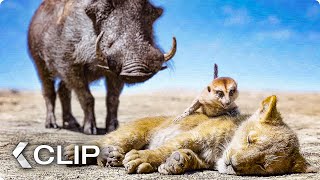 Timon and Pumbaa find Simba Movie Clip  The Lion King 2019 [upl. by Netaf803]