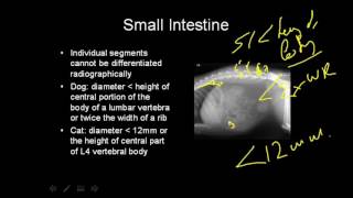 What is a Dosimeter animation [upl. by Toulon]