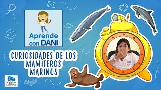 Clasificación de mamiferos  Los Mamíferos para todas las edades  Animales con pipo [upl. by Margaretta]