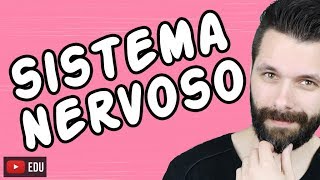 SISTEMA NERVOSO  FISIOLOGIA  Aula  Biologia com Samuel Cunha [upl. by Eynobe]