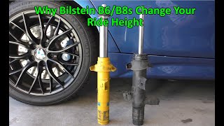 Why Bilstein B6B8s Change Your Ride Height [upl. by Latton925]