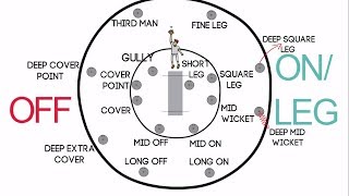 Fielding Positions in Cricket for Right Handed Batsman  Long ONOFFMid WicketFine LegSquare Leg [upl. by Kelley664]