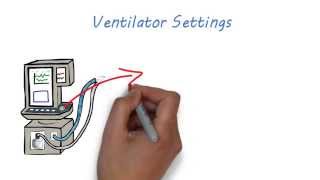 Elements of Ventilation Systems [upl. by Mckeon403]