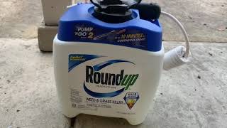 RoundUp Weed and Grass Killer Does It Work [upl. by Attaynik]