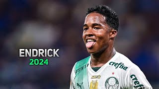 Endrick 2024 ● Palmeiras ► Magic Skills amp Goals  HD [upl. by Lipinski736]