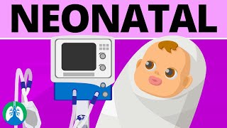 Key settings for a mechanical ventilator  BMJ Learning [upl. by Marcoux]