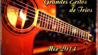 GRANDES EXITOS DE TRIOS MIX [upl. by Ymaral153]