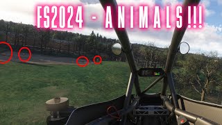 Finding ANIMALS in MSFS2024 [upl. by Bartolome455]