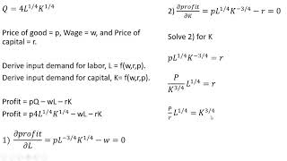 Deriving Input Demand Functions from CobbDouglas Production Function [upl. by Cris811]