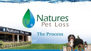 Natures Pet Loss  The Aquamation Process [upl. by Winter]