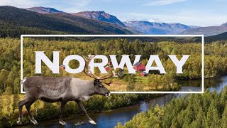 TOP 10 Best Places to Visit in Norway  The ULTIMATE Norway Travel Guide Video [upl. by Iams]