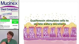 Expectorants Guaifenesin [upl. by Shah]