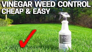 Vinegar Weed Killer  Works in 24 Hours [upl. by Pence113]