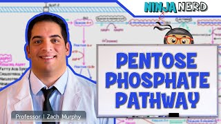 Metabolism  Pentose Phosphate Pathway [upl. by Noswad]