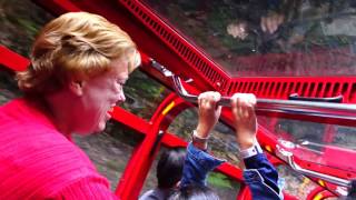 Blue Mountain Scenic Railway  worlds steepest inclined Railway [upl. by Eigram333]