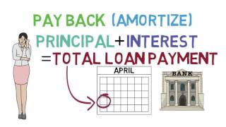 Loans 101 Loan Basics 13 [upl. by Amara648]