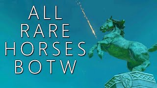 All Rare Horses amp Where to Find Them BOTW [upl. by Gnivri]