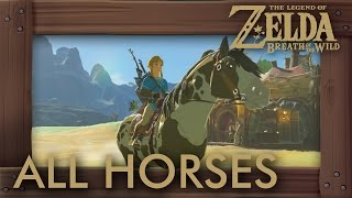 Zelda Breath of the Wild  All Horses [upl. by Meibers310]