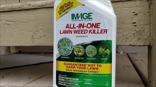 Finally A Goosegrass Killer [upl. by Anawat]