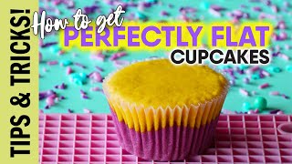 How To Get Perfectly FLAT Cupcakes  The Scran Line [upl. by Dryfoos382]