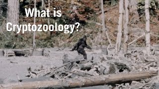 What Is Cryptozoology [upl. by Granthem]