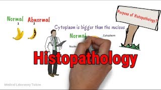 Histopathology  Tissue Processing  Tissue processing in histopathology laboratory [upl. by Nivets896]