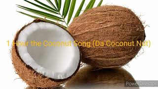 1 Hour the Coconut Song Da Coconut Nut  Koopa 85 [upl. by Ynnod]