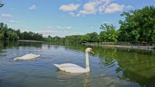 KISSENA PARK 9 1 2024 [upl. by Lehmann200]