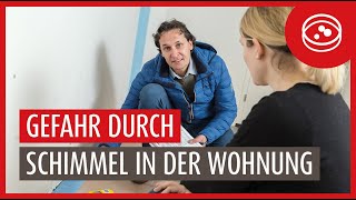 Schimmelpilz im Wohnraum ISOTEC saniert [upl. by Proffitt59]