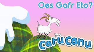 Caru Canu  Oes Gafr Eto Welsh Childrens Song [upl. by Ninehc]