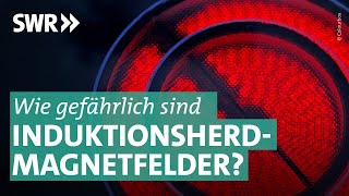 Induktionsherde als unterschätzte Gefahr I Marktcheck SWR [upl. by Skurnik]