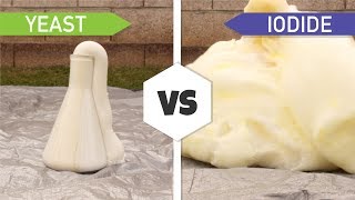 Making Elephant Toothpaste Yeast vs Iodide [upl. by Wakeen906]