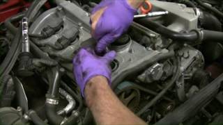 FKAutoWorks Audi A4 B6 18T AMB Timing Belt Instructional Video [upl. by Isleana767]