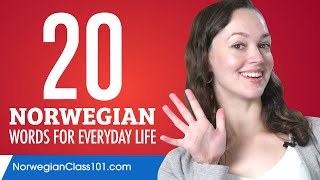 20 Norwegian Words for Everyday Life  Basic Vocabulary 1 [upl. by Mohn534]