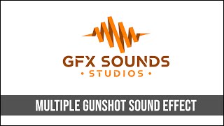 Multiple Gunshot Sound Effect [upl. by Noraed435]