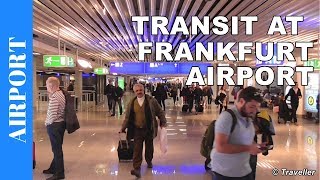 TRANSIT WALK AT FRANKFURT Airport FRA Terminal 1  Connection Flight Transfer Arriving amp Departing [upl. by Weber656]