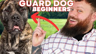 The Best GUARD DOG BREEDS FOR FIRST TIME OWNERS [upl. by Flem]