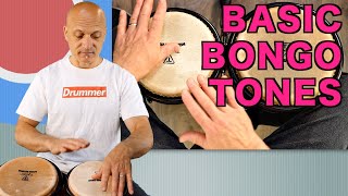 Basic Bongo Tones  How to Play Bongos Tutorial [upl. by Asa815]