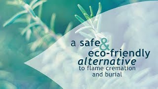 EcoFriendly Aquamation  Flameless Pet Cremation [upl. by Ottillia995]